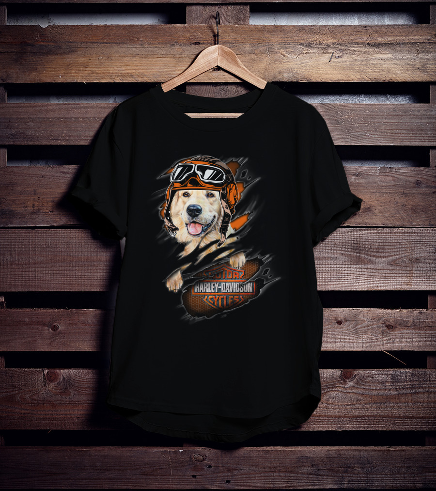 Golden Retriever Wearing Biker Helmet With Harley Davidson Motorcycles T-Shirt