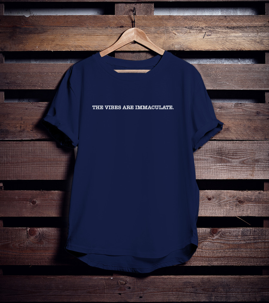 Jalen Brunson The Vibes Are Immaculate T-Shirt