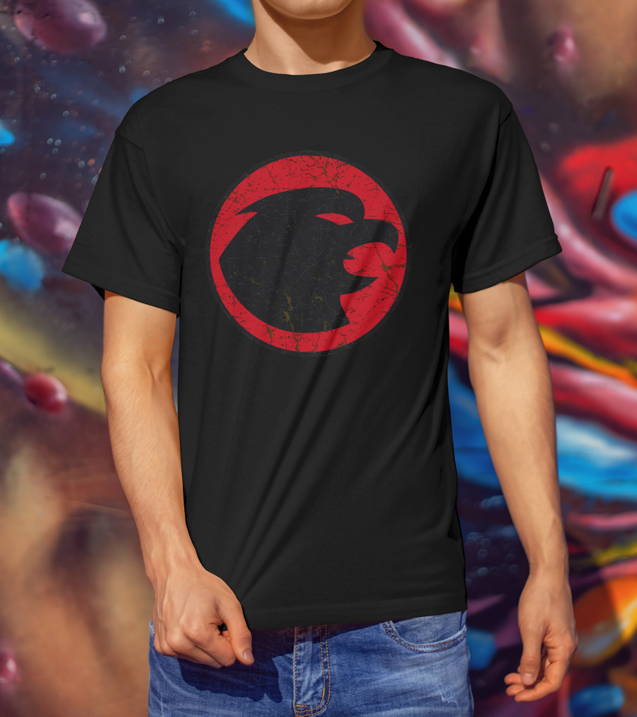 DC Comics Hawkgirl Red And Black T-Shirt