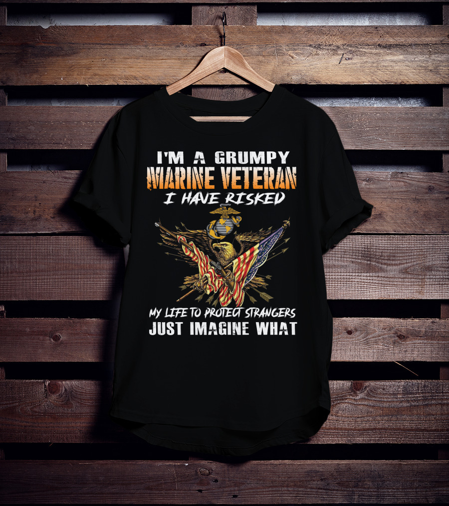 I'm A Grumpy Marine Veteran I Have Risked My Life To Protect Strangers Just Imagine What T-Shirt