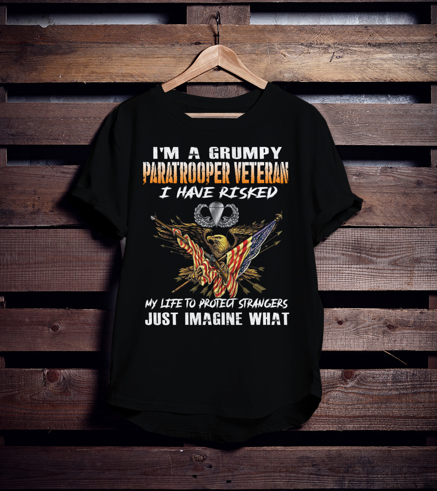 I'm A Grumpy Paratrooper Veteran I Have Risked My Life To Protect Strangers Just Imagine What T-Shirt