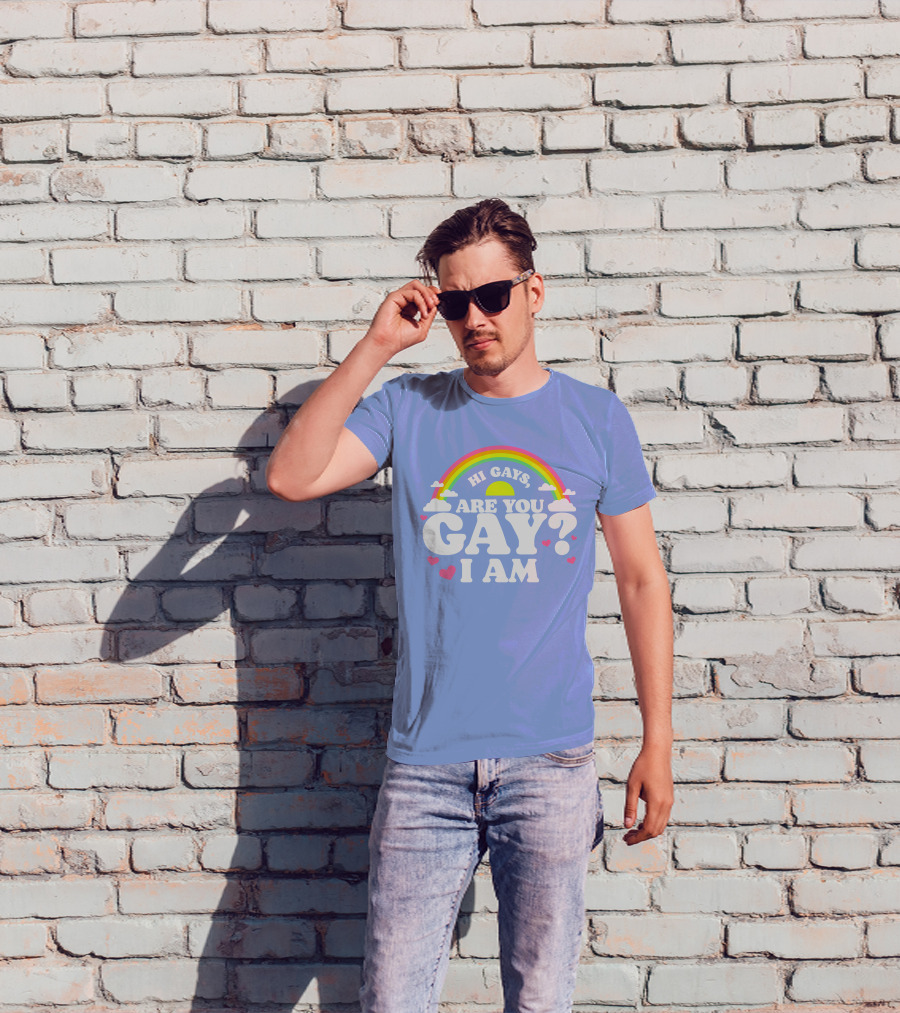 Chrissy Chlapecka Merch Hi Gays Are You Gay I Am With Rainbow And Hearts T-Shirt