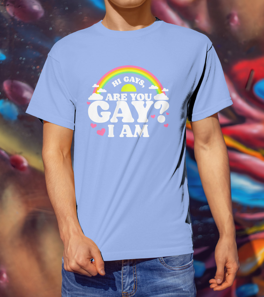Chrissy Chlapecka Merch Hi Gays Are You Gay I Am With Rainbow And Hearts T-Shirt