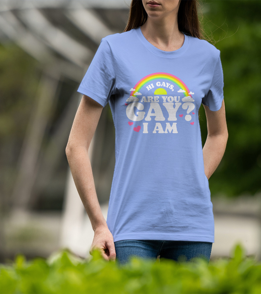 Chrissy Chlapecka Merch Hi Gays Are You Gay I Am With Rainbow And Hearts T-Shirt