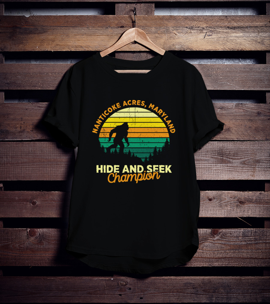 Nanticoke Acres Maryland Bigfoot Hide And Seek Champion Retro Sunset T-Shirt
