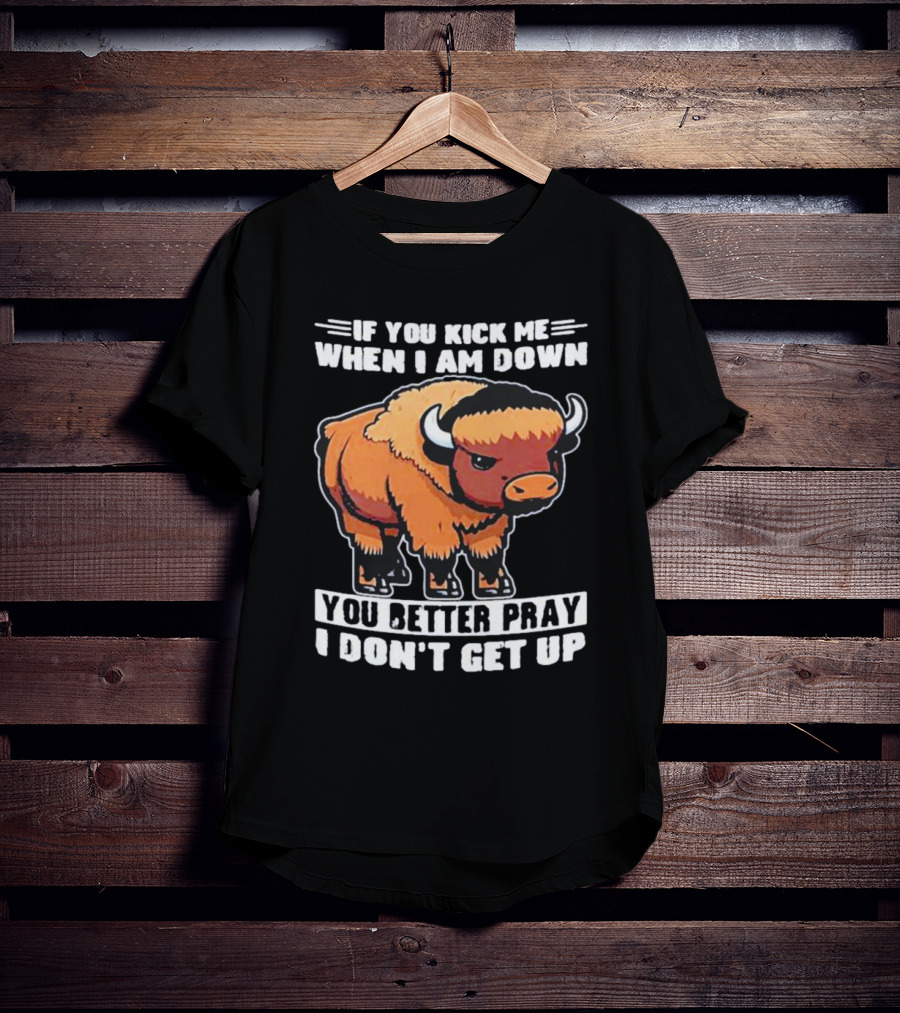 Buffalo If You Kick Me When I Am Down You Better Pray I Don’t Get Up T-Shirt