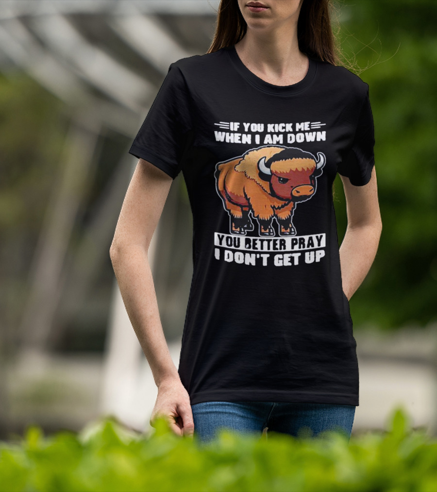 Buffalo If You Kick Me When I Am Down You Better Pray I Don’t Get Up T-Shirt