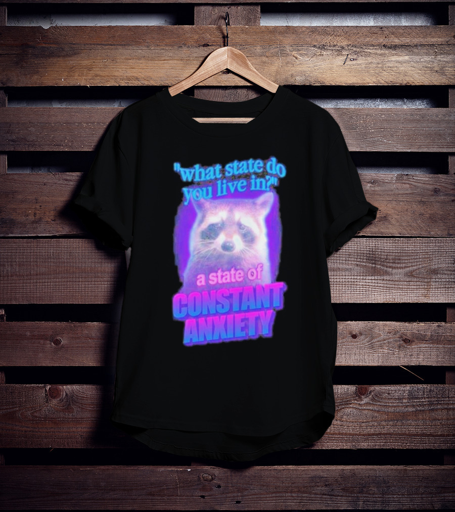 Raccoon In A State Of Constant Anxiety Meme T-Shirt