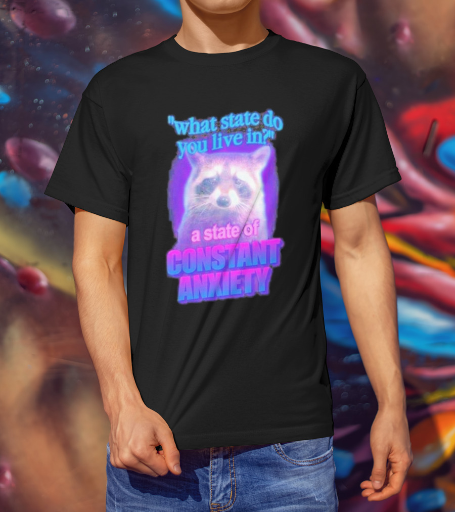 Raccoon In A State Of Constant Anxiety Meme T-Shirt