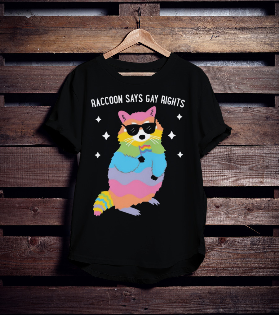 Raccoon Says Gay Rights Pride Rainbow Sunglasses Flag T-Shirt