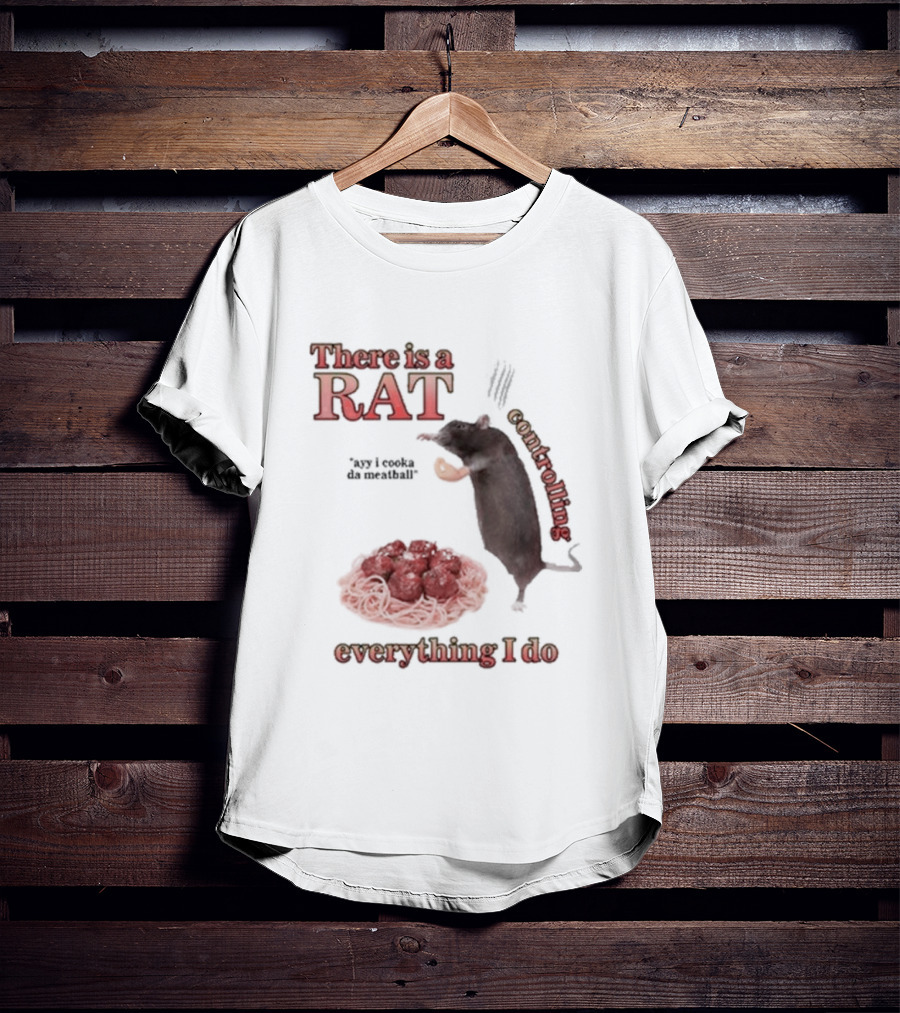 There Is A Rat Controlling Everything I Do Ayy I Cooka Da Meatball T-Shirt