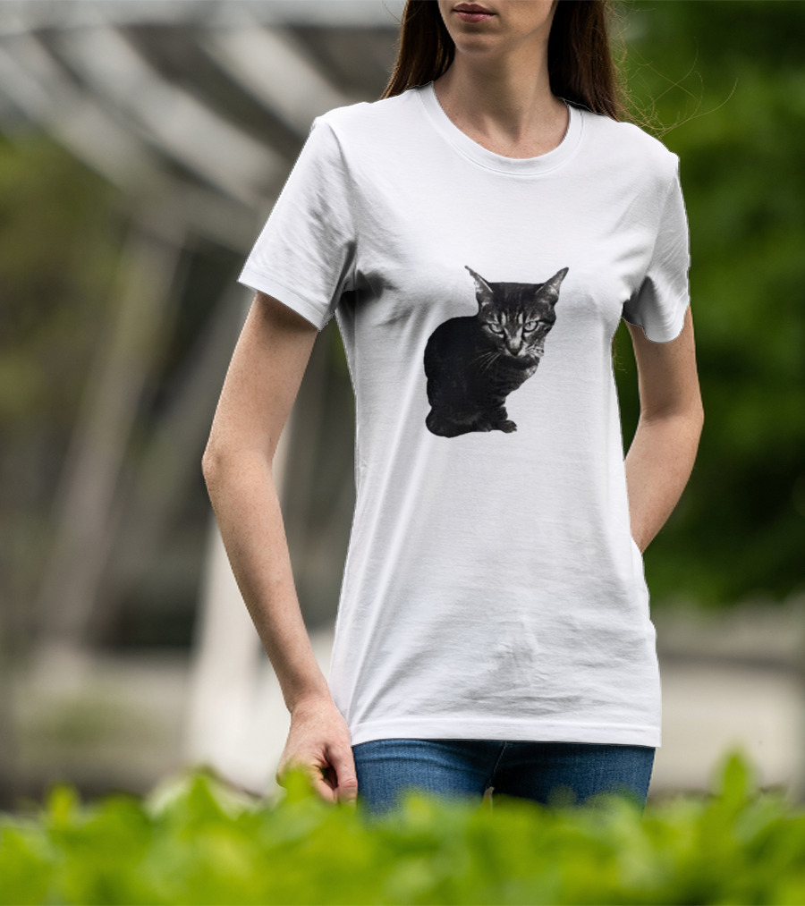 Smileymaya15 How Long Have I Been Here Kitten Cat Black Gray Tabby T-Shirt