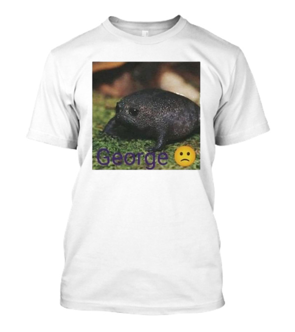 George Sad Frog Meme Inspired Image T-Shirt