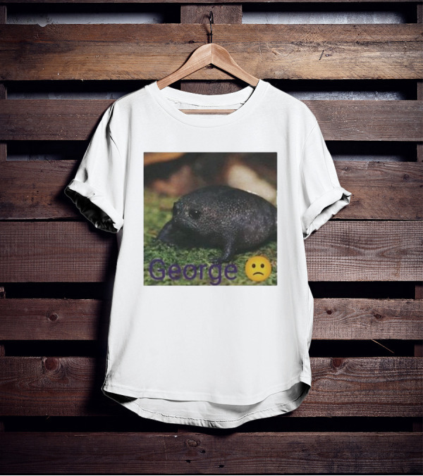 George Sad Frog Meme Inspired Image T-Shirt