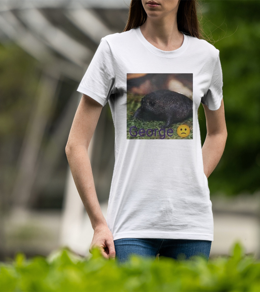 George Sad Frog Meme Inspired Image T-Shirt