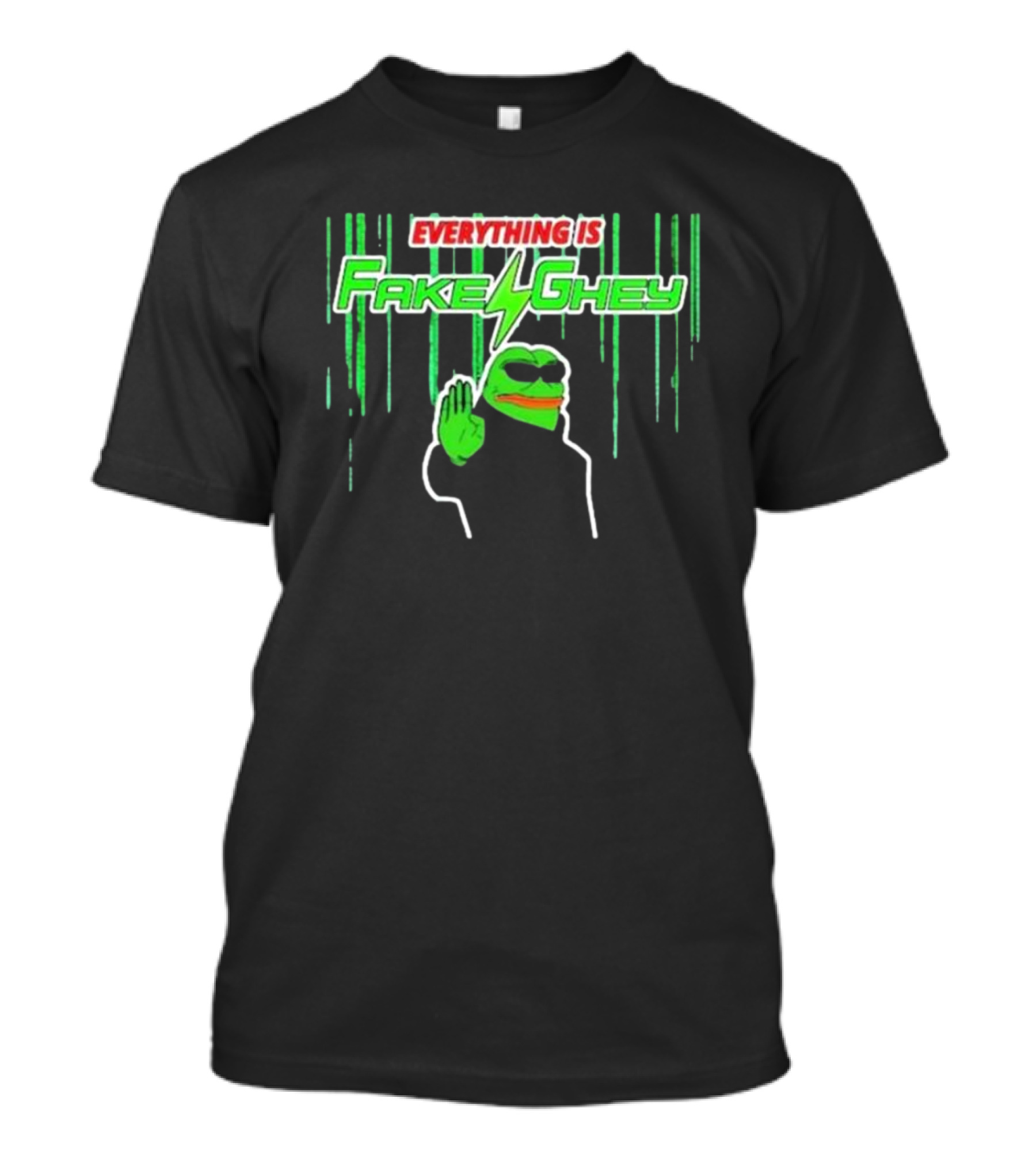 Riseofthenewmedia Everything Is Fake Ghey Pepe Meme T-Shirt