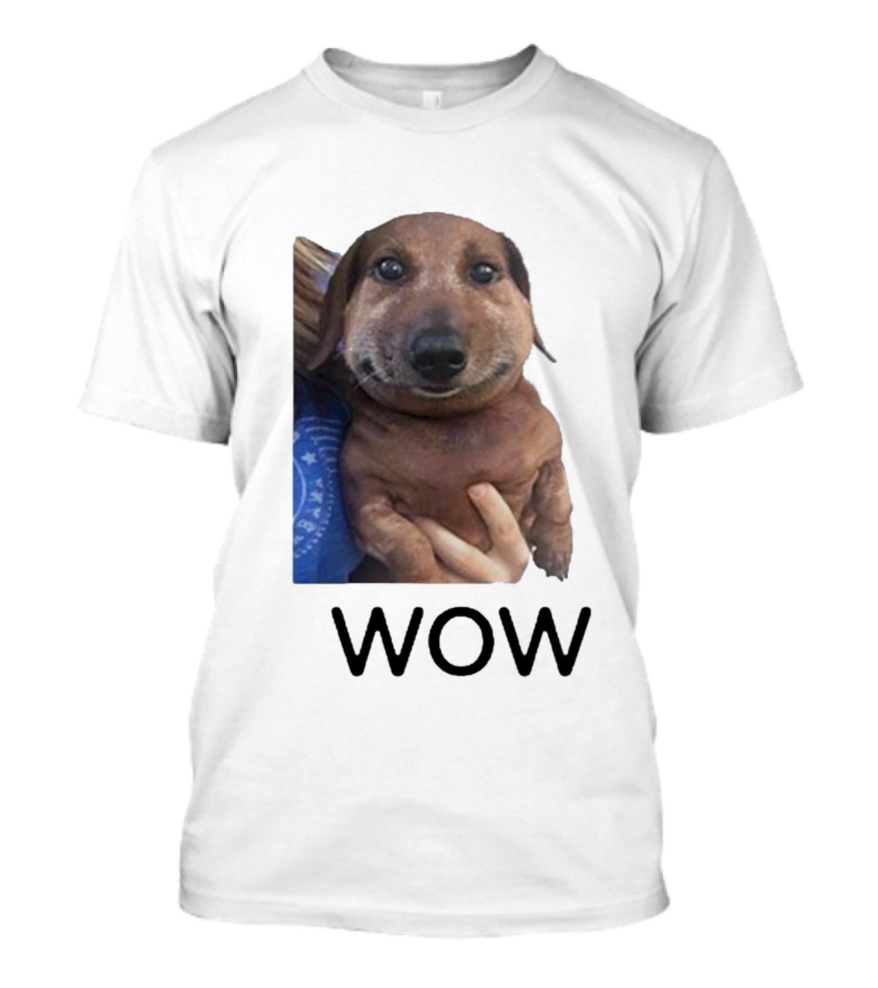 Fallenchungus Wow Dog Meme With Funny Expression T-Shirt