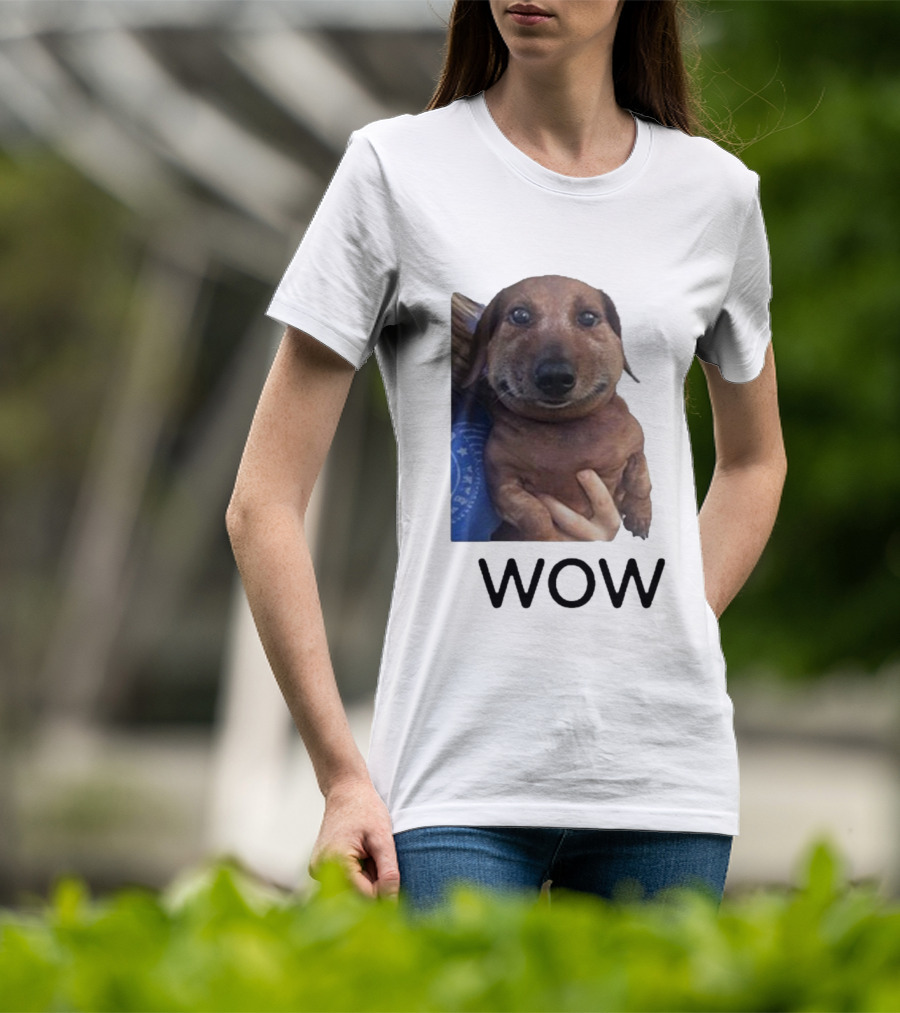 Fallenchungus Wow Dog Meme With Funny Expression T-Shirt