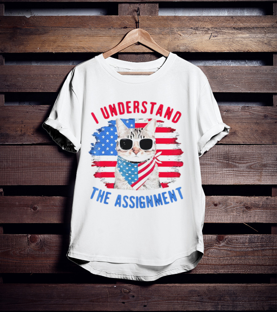 I Understand The Assignment Cat With American Flag Sunglasses And Scarf T-Shirt