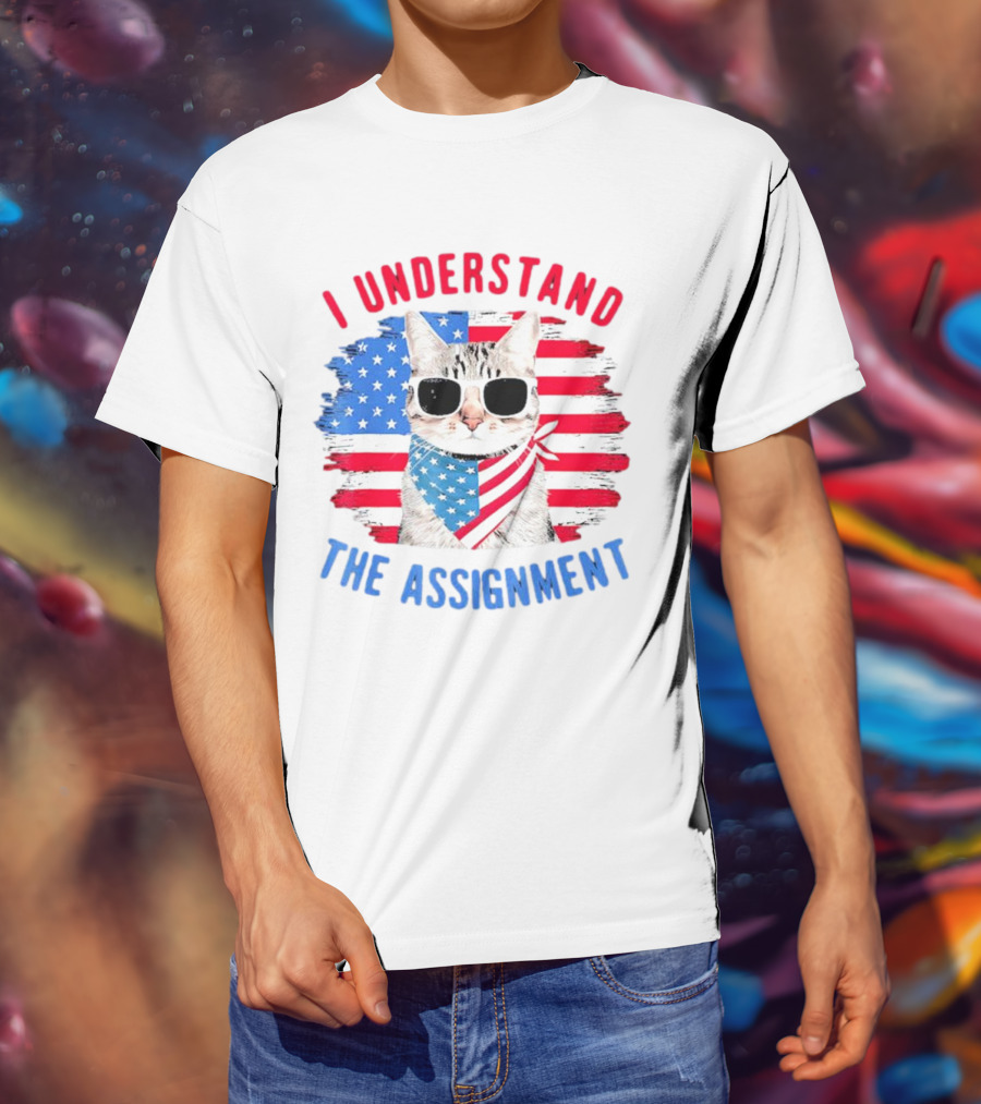 I Understand The Assignment Cat With American Flag Sunglasses And Scarf T-Shirt