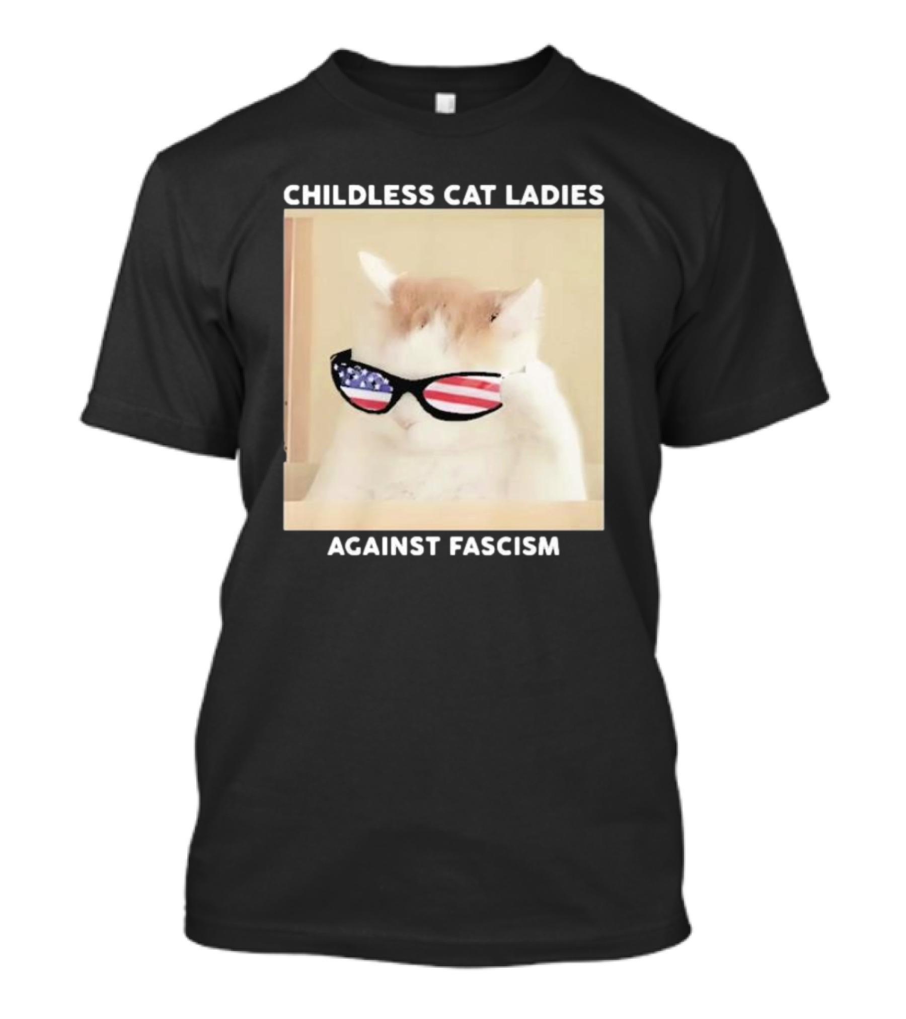 Childless Cat Ladies Against Fascism Patriotic Sunglasses T-Shirt