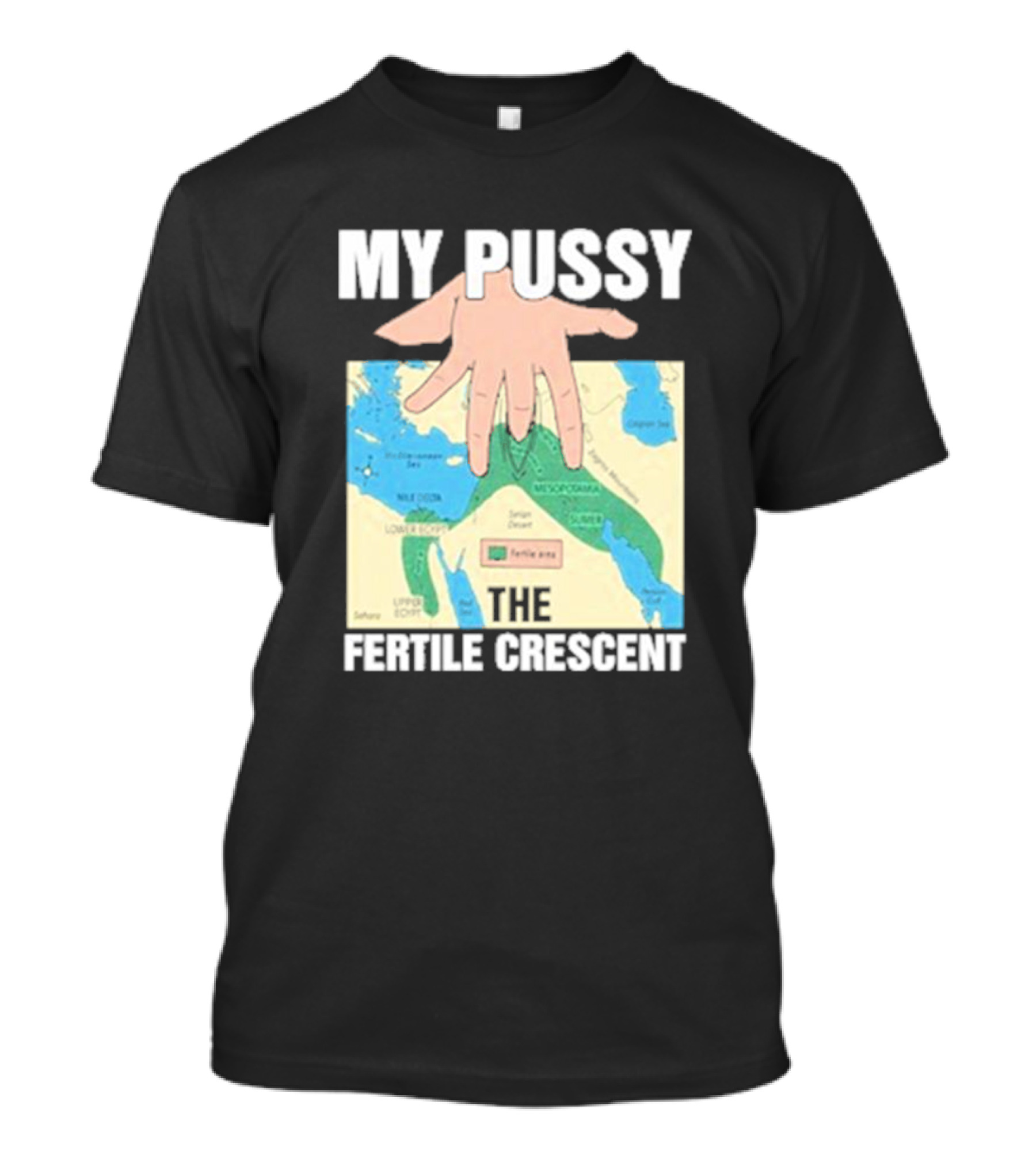 My Pussy The Fertile Crescent Hand On Middle East Map T-Shirt