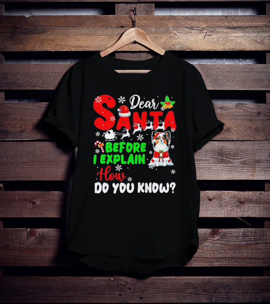 Dear Santa Before I Explain How Do You Know Santa Hat Reindeer Dog Xmas T-Shirt