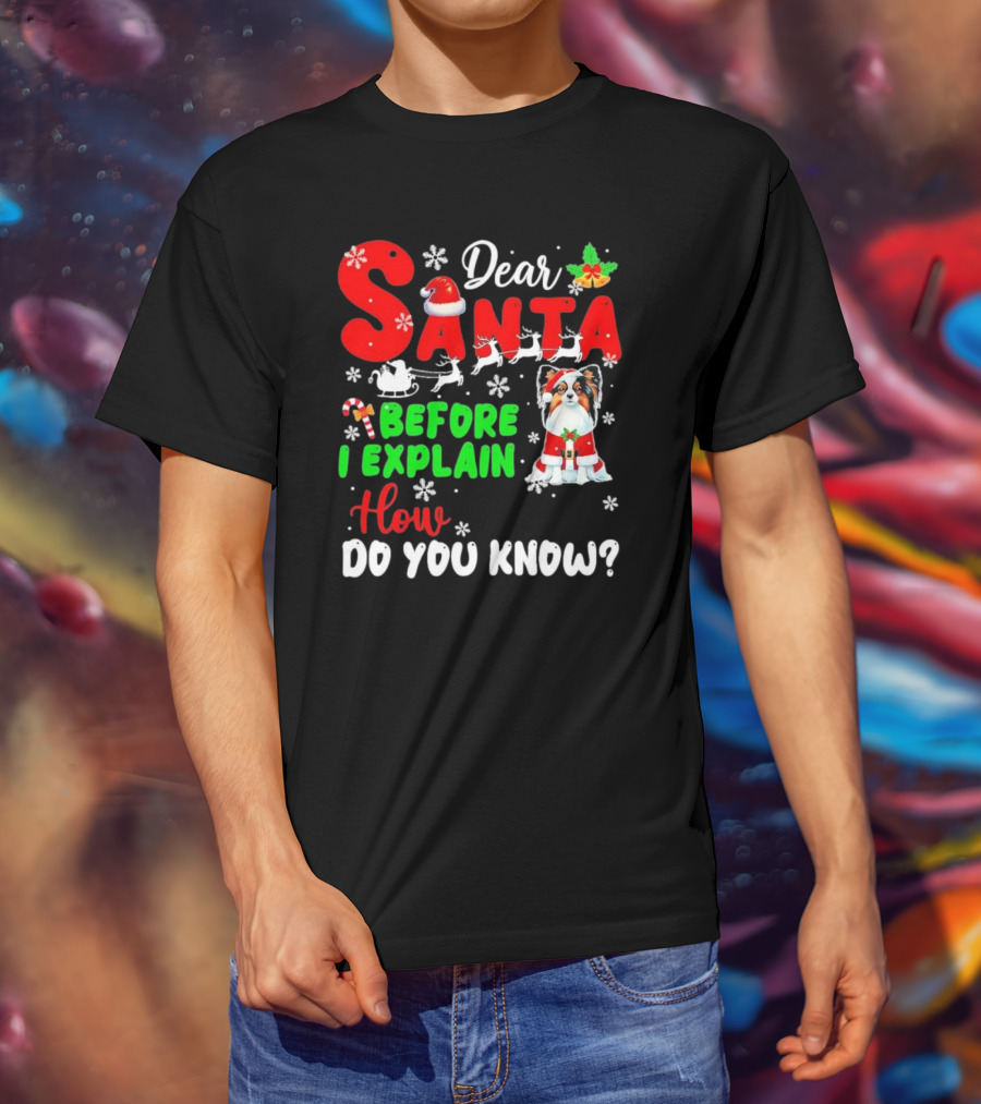 Dear Santa Before I Explain How Do You Know Santa Hat Reindeer Dog Xmas T-Shirt