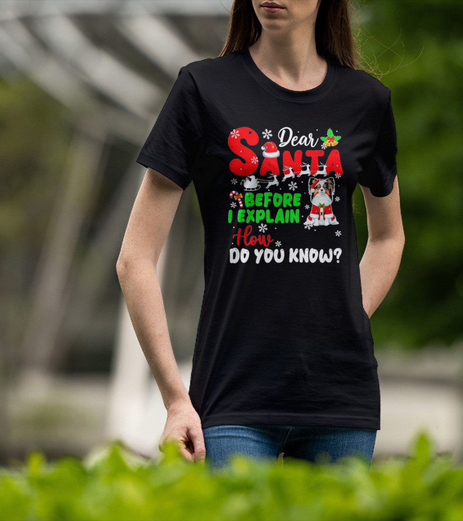 Dear Santa Before I Explain How Do You Know Santa Hat Reindeer Dog Xmas T-Shirt