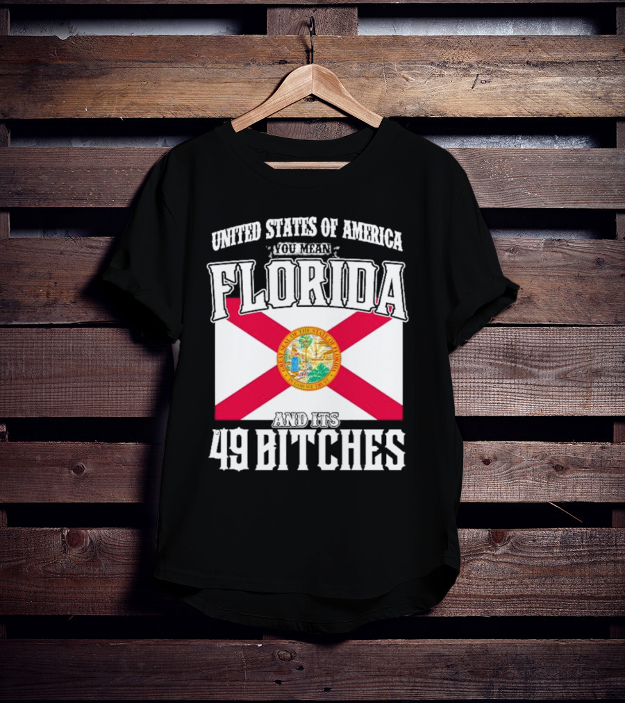 United States Of America You Mean Florida And Its 49 Bitches Flag T-Shirt