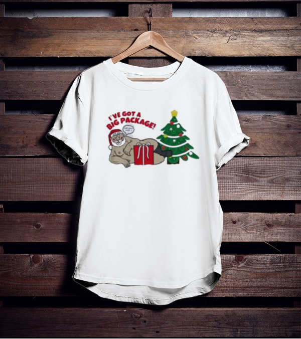 I've Got A Big Package Santa's Tree Smash Ugly Christmas T-Shirt