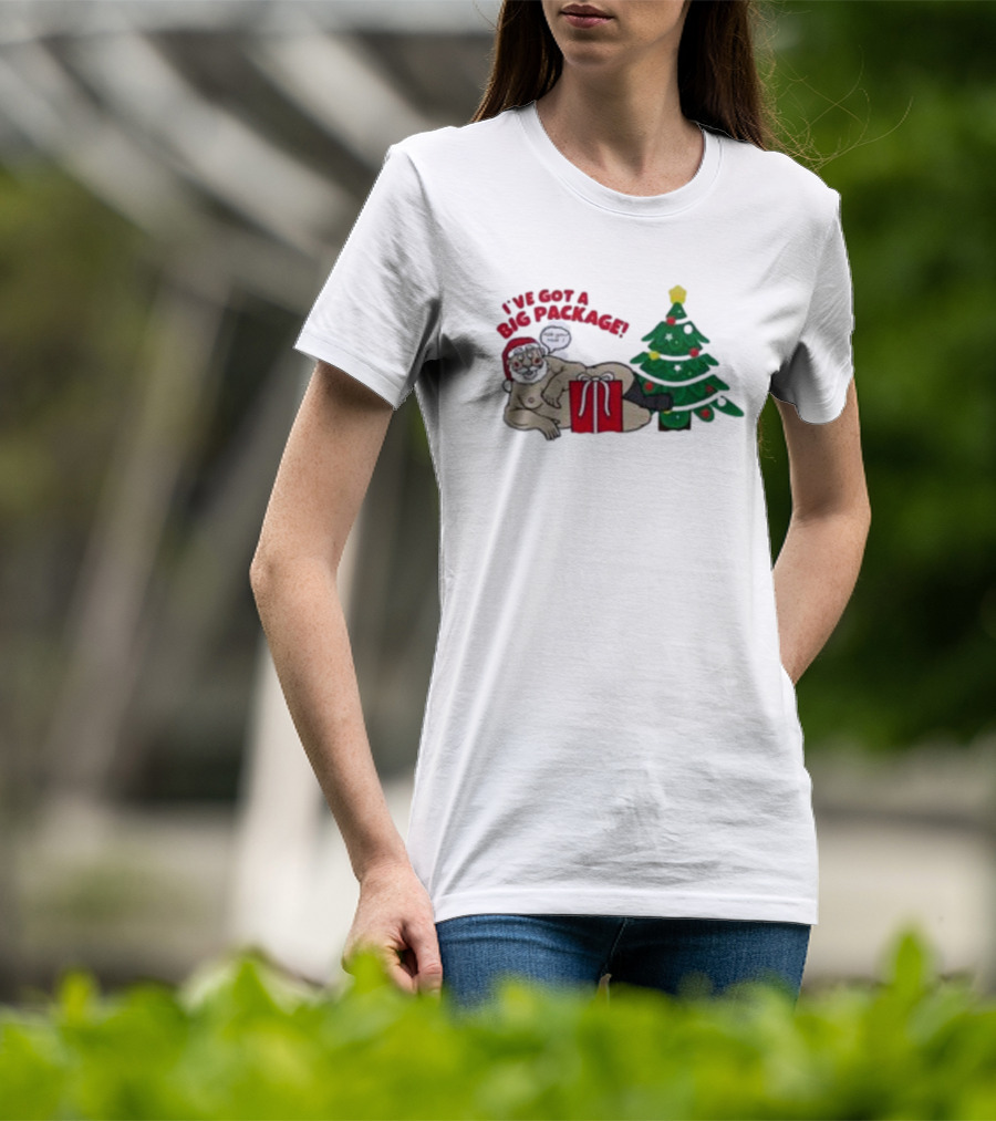 I've Got A Big Package Santa's Tree Smash Ugly Christmas T-Shirt