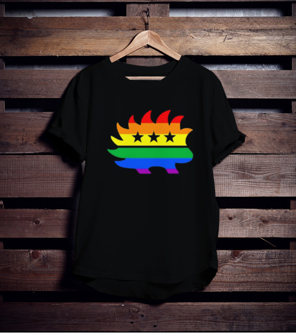 Dr. Simon Goddek Libertarian Porcupine Rainbow Flag Stars T-Shirt
