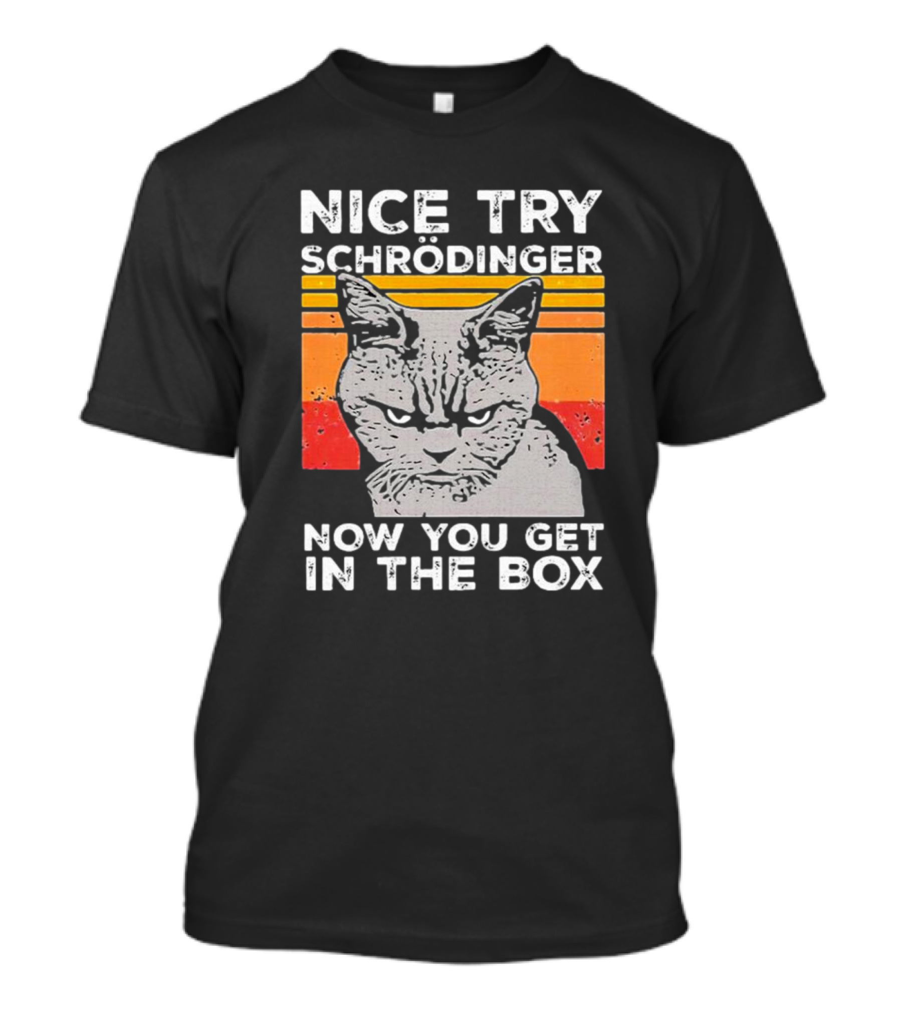 Nice Try Schrödinger Now You Get In The Box Vintage Science Cat T-Shirt