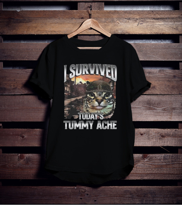 I Survived Today’s Tummy Ache Cat In Soldier Helmet With Warzone Background T-Shirt
