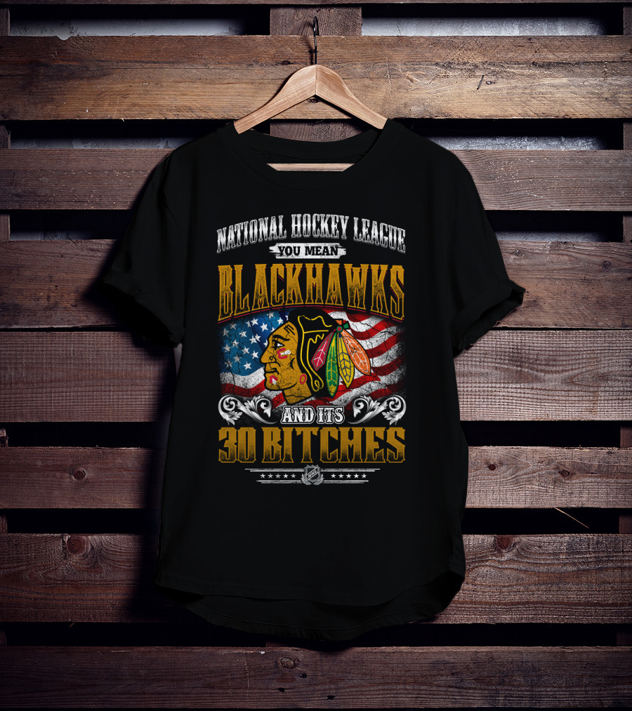 National Hockey League You Mean Blackhawks And Its 30 Bitches T-Shirt