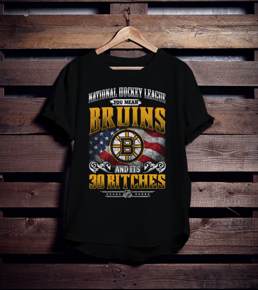 Bruins National Hockey League You Mean And Its 30 Bitches T-Shirt