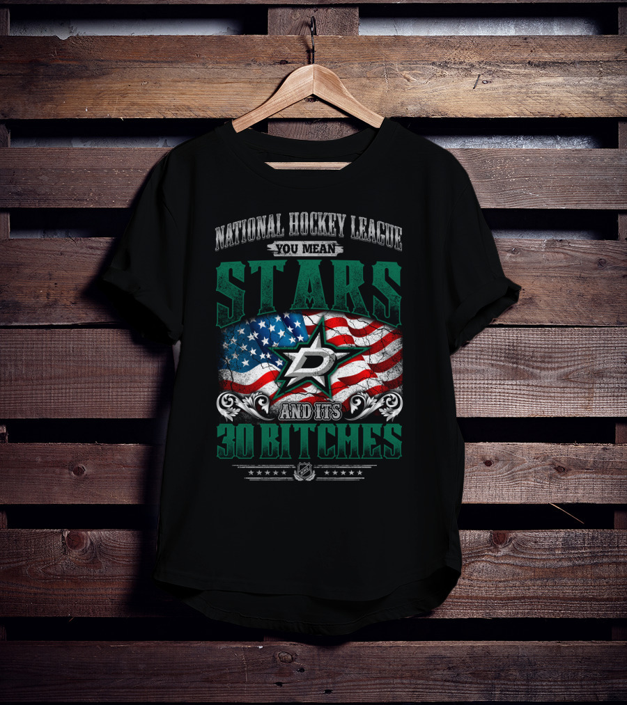 National Hockey League You Mean Dallas Stars And Its 30 Bitches T-Shirt
