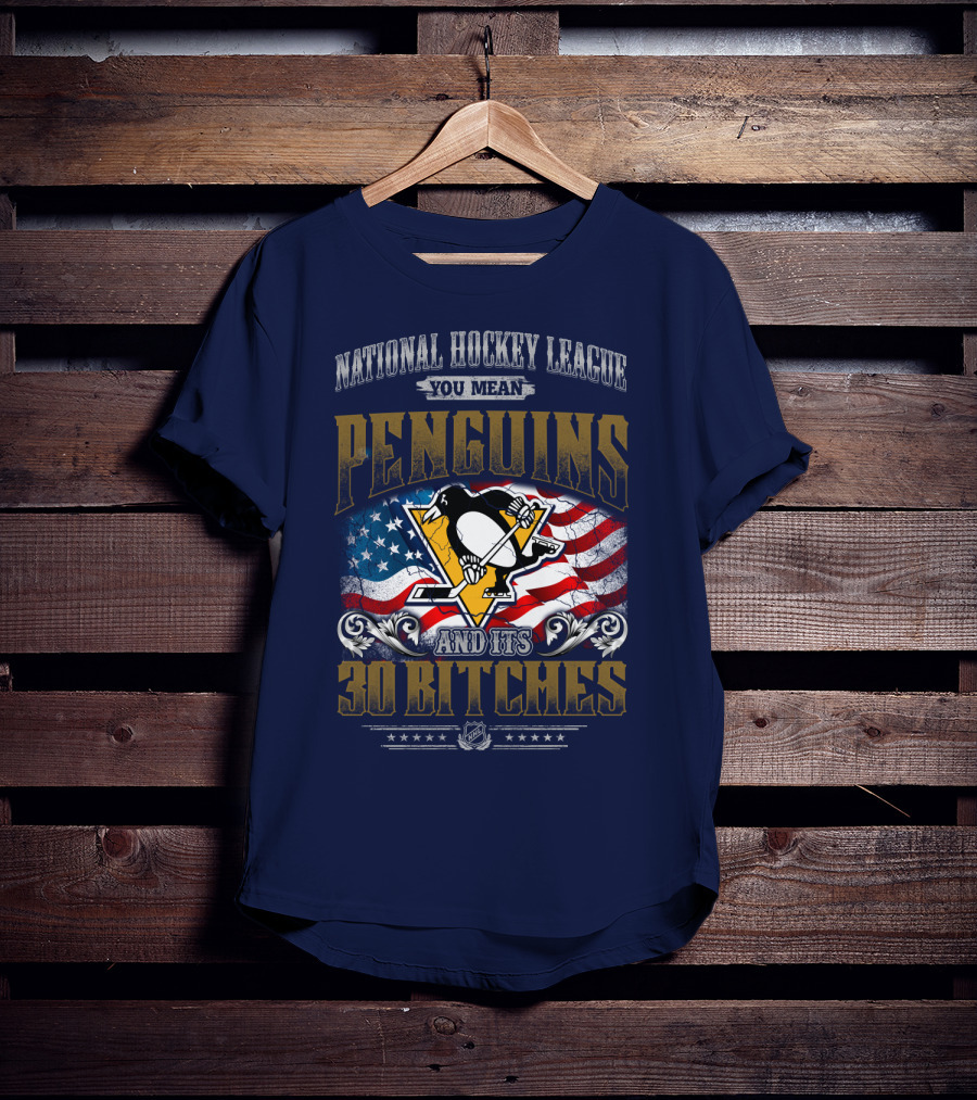 National Hockey League You Mean Penguins And Its 30 Bitches T-Shirt