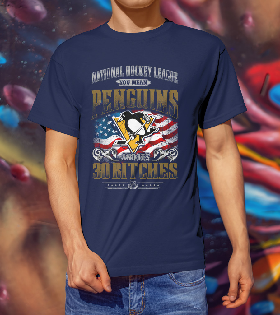 National Hockey League You Mean Penguins And Its 30 Bitches T-Shirt