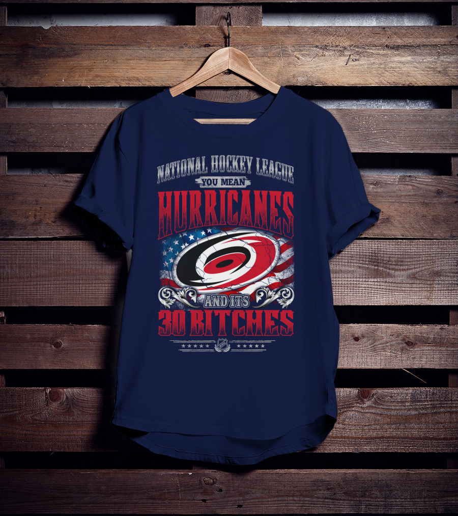 National Hockey League You Mean Hurricanes And Its 30 Bitches T-Shirt