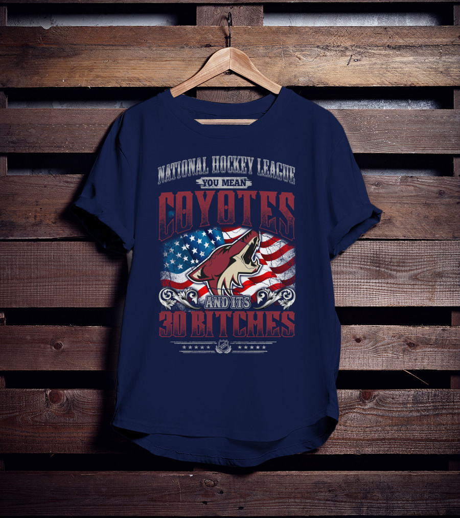 National Hockey League Coyotes And Its 30 Bitches American Flag T-Shirt