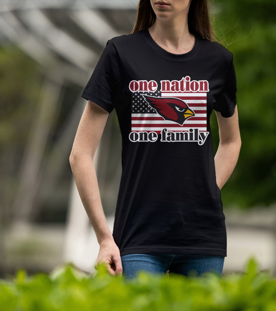 One Nation One Family Arizona Cardinals Flag T-Shirt