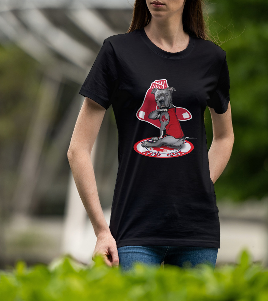 Boston Red Sox Dog Illustration With Team T-Shirt