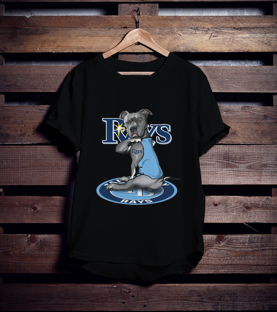 Rays Dog With Tampa Bay Rays Logo And 27-Tampa Bay Rays Circle T-Shirt