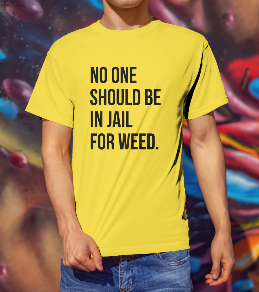 No One Should Be In Jail For Weed Gisele Barreto Fetterman We Go High Shop T-Shirt