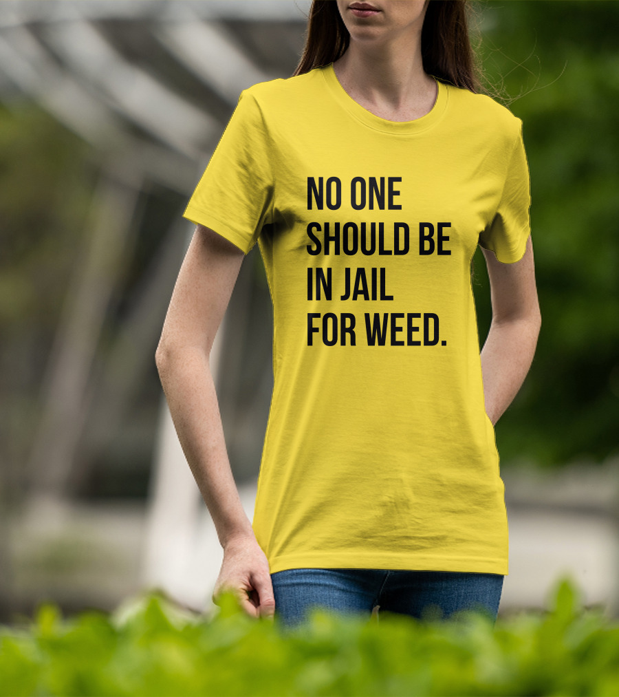 No One Should Be In Jail For Weed Gisele Barreto Fetterman We Go High Shop T-Shirt