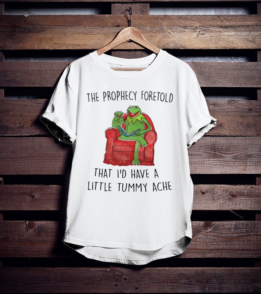 The Prophecy Foretold That I'd Have A Little Tummy Ache - Frog Reading On Red Armchair T-Shirt