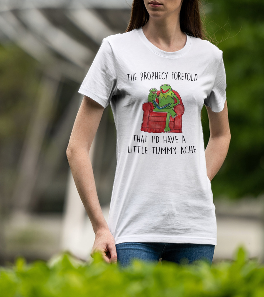 The Prophecy Foretold That I'd Have A Little Tummy Ache - Frog Reading On Red Armchair T-Shirt