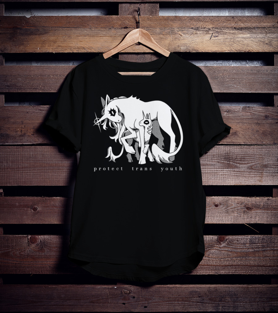 Protect Trans Youth Unicorn Support T-Shirt